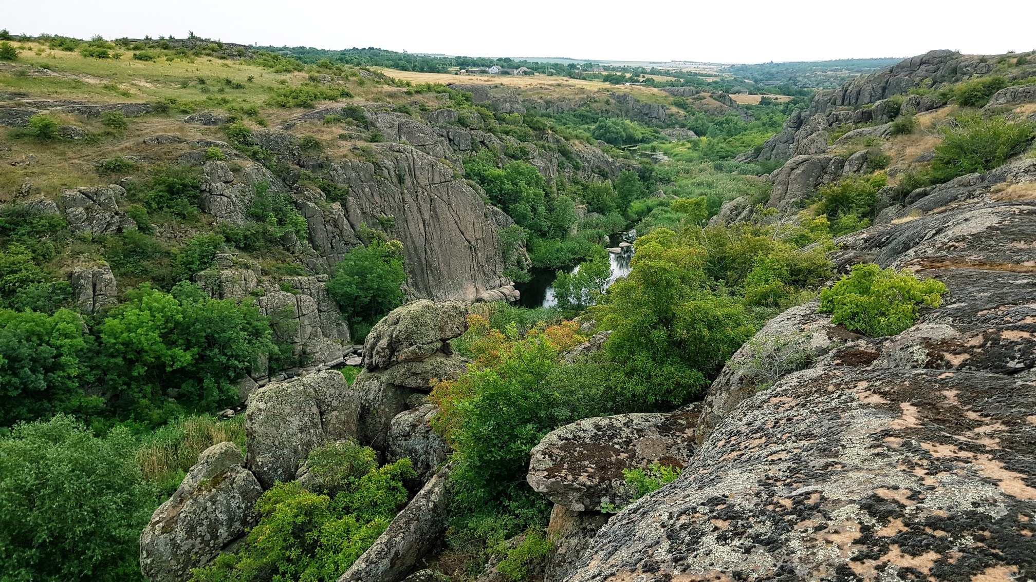
                                        Координаты: ≈ <a href='https://maps.google.com/maps?ll=47.712222, 31.455833&q=47.712222, 31.455833&spn=0.5,0.5&t=h&hl=ua' target='_blank'>47.712222, 31.455833</a>.
                                        Высота над уровнем моря: ≈ 66 м.
                                        Дата: 16.06.2018 15:34
                                    