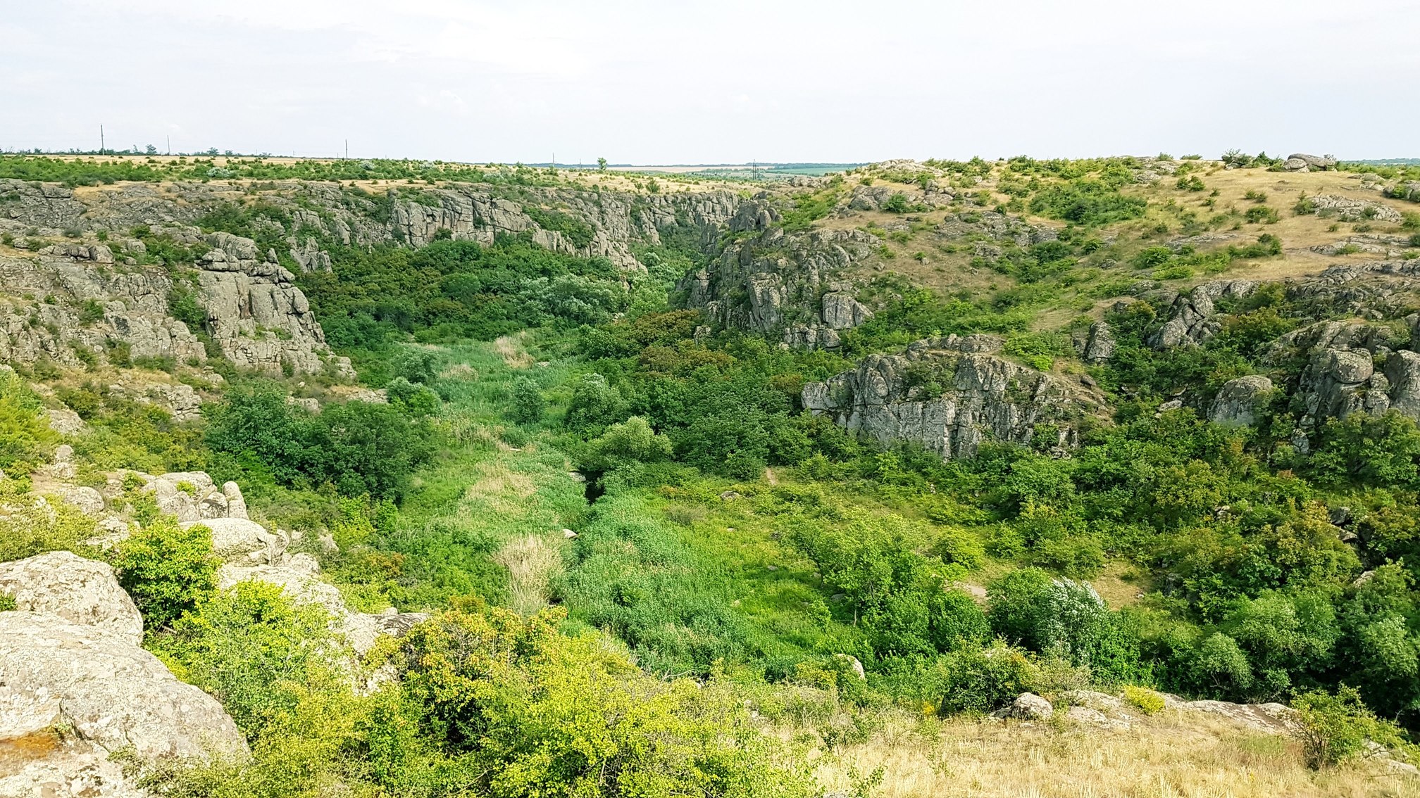 
                                        Координаты: ≈ <a href='https://maps.google.com/maps?ll=47.714444, 31.4625&q=47.714444, 31.4625&spn=0.5,0.5&t=h&hl=ua' target='_blank'>47.714444, 31.4625</a>.
                                        Высота над уровнем моря: ≈ 99 м.
                                        Дата: 16.06.2018 15:59
                                    