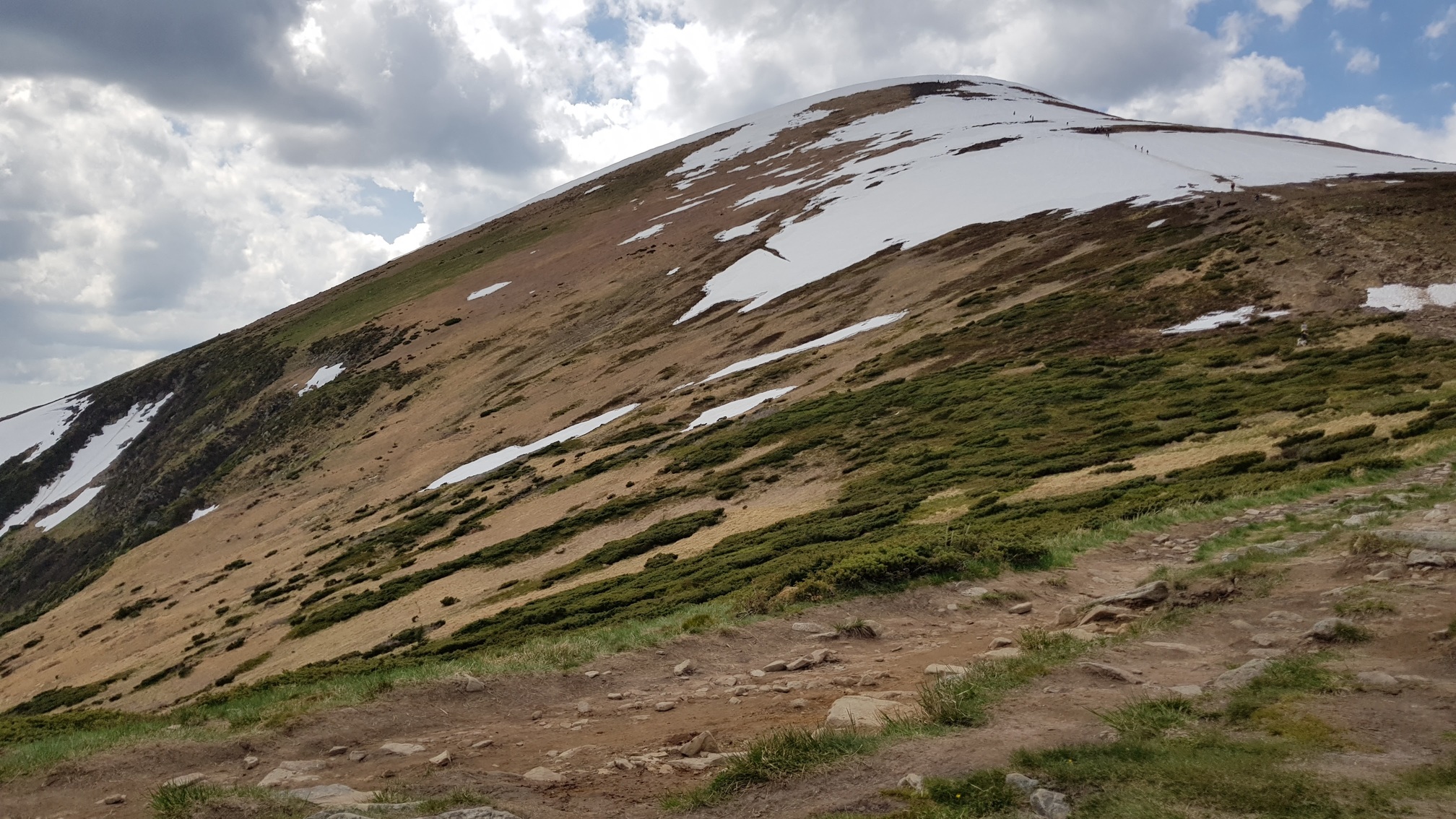 
                                        
                                        
                                        Дата: 04.05.2018 13:52
                                    