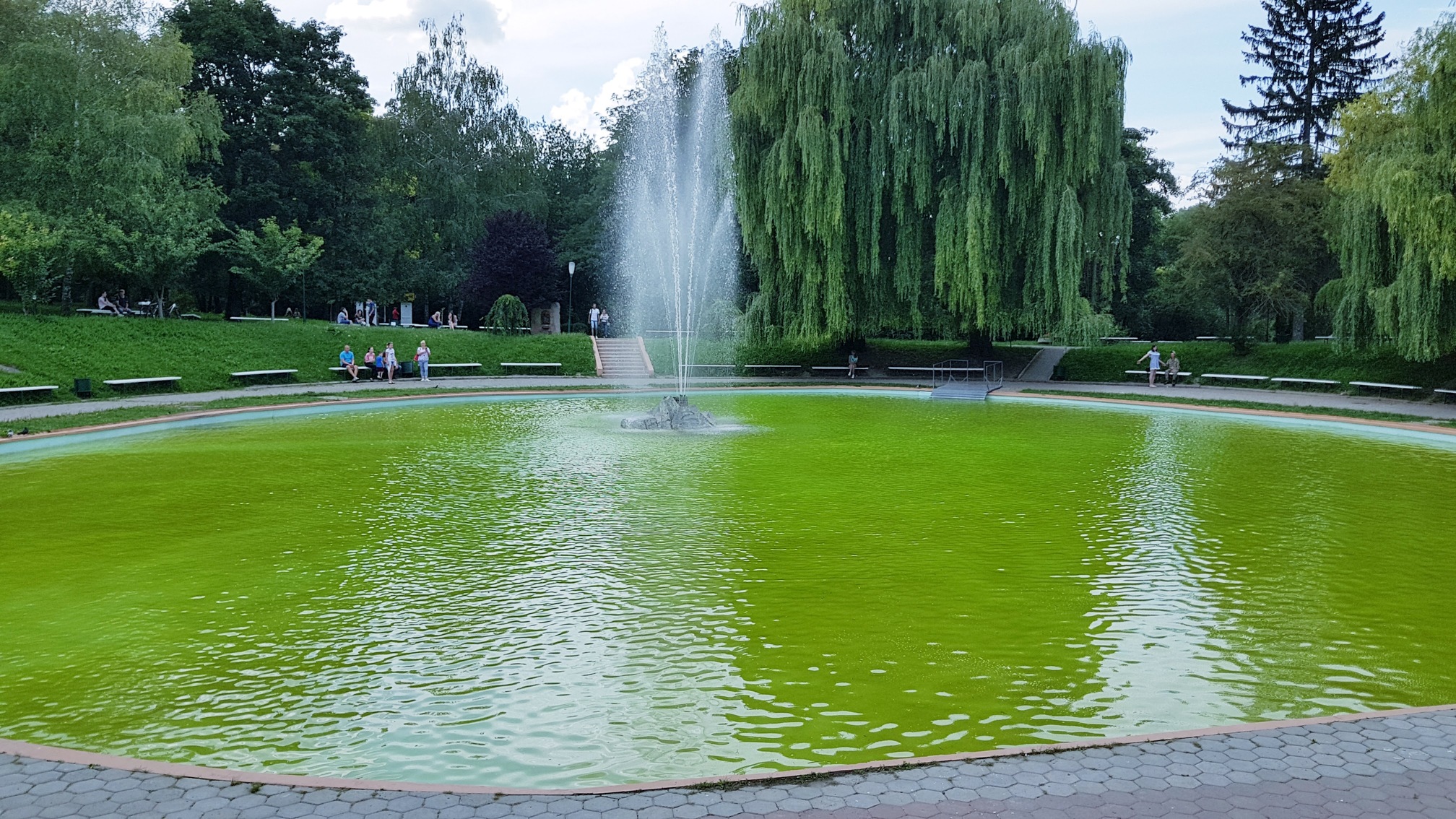 
                                        Координаты: ≈ <a href='https://maps.google.com/maps?ll=48.676667, 26.5825&q=48.676667, 26.5825&spn=0.5,0.5&t=h&hl=ua' target='_blank'>48.676667, 26.5825</a>.
                                        
                                        Дата: 08.07.2018 15:56
                                    