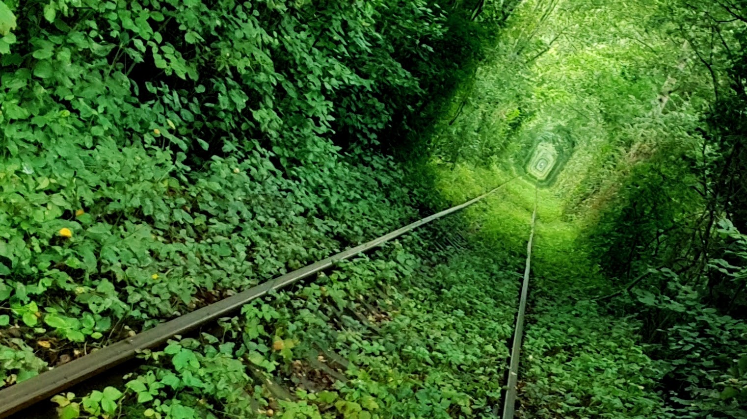 
                                        Координаты: ≈ <a href='https://maps.google.com/maps?ll=50.754722, 26.073056&q=50.754722, 26.073056&spn=0.5,0.5&t=h&hl=ua' target='_blank'>50.754722, 26.073056</a>.
                                        
                                        Дата: 09.09.2018 16:17
                                    